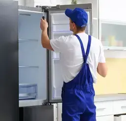 serpsonic servis